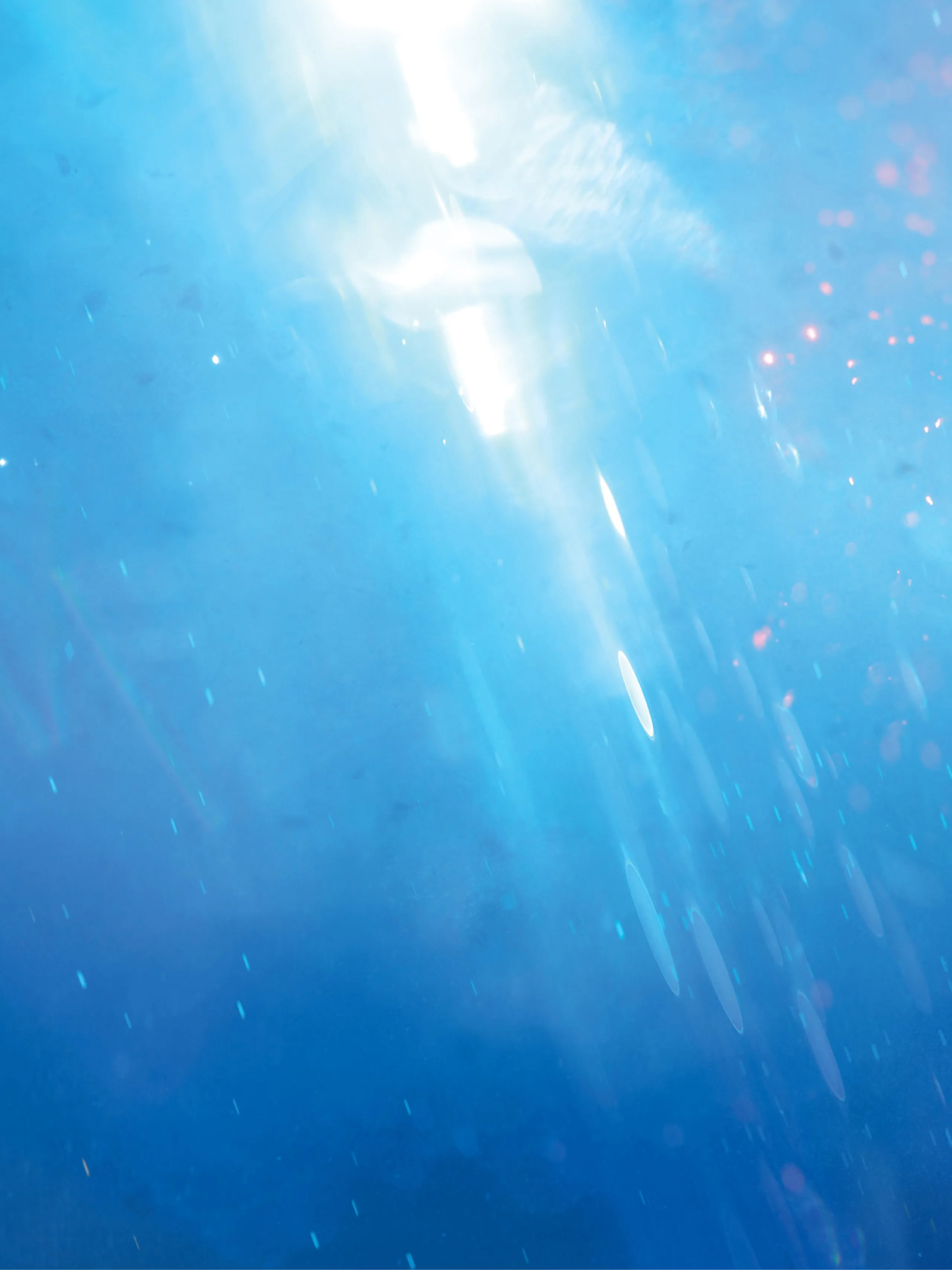 战地风云5设定集 第2页设定图