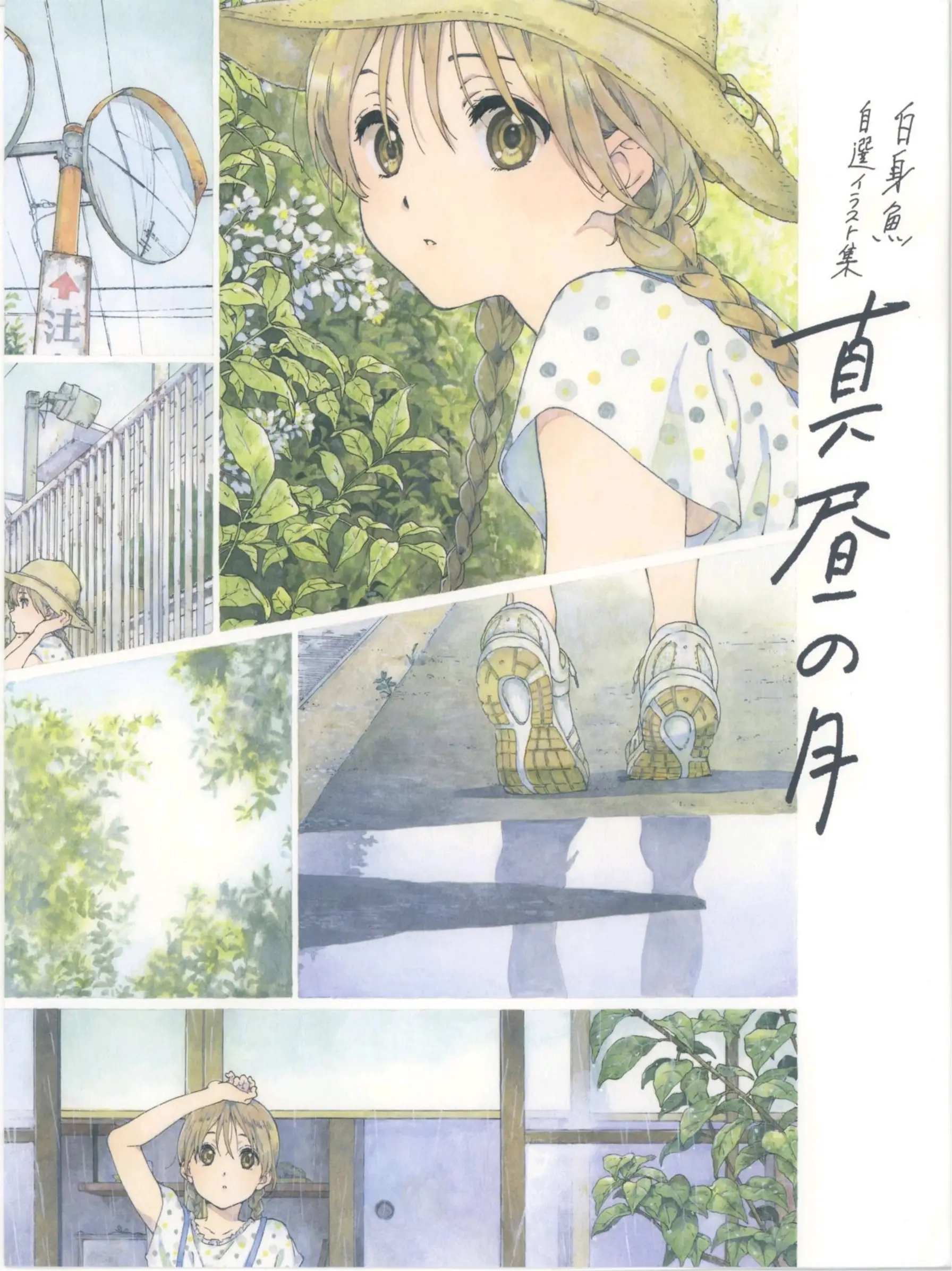 白昼之月 白身鱼/自选画集